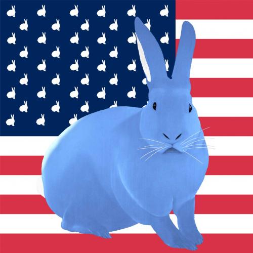 FLAG LAYETTE rabbit flag Showroom - Inkjet on plexi, limited editions, numbered and signed. Wildlife painting Art and decoration. Click to select an image, organise your own set, order from the painter on line